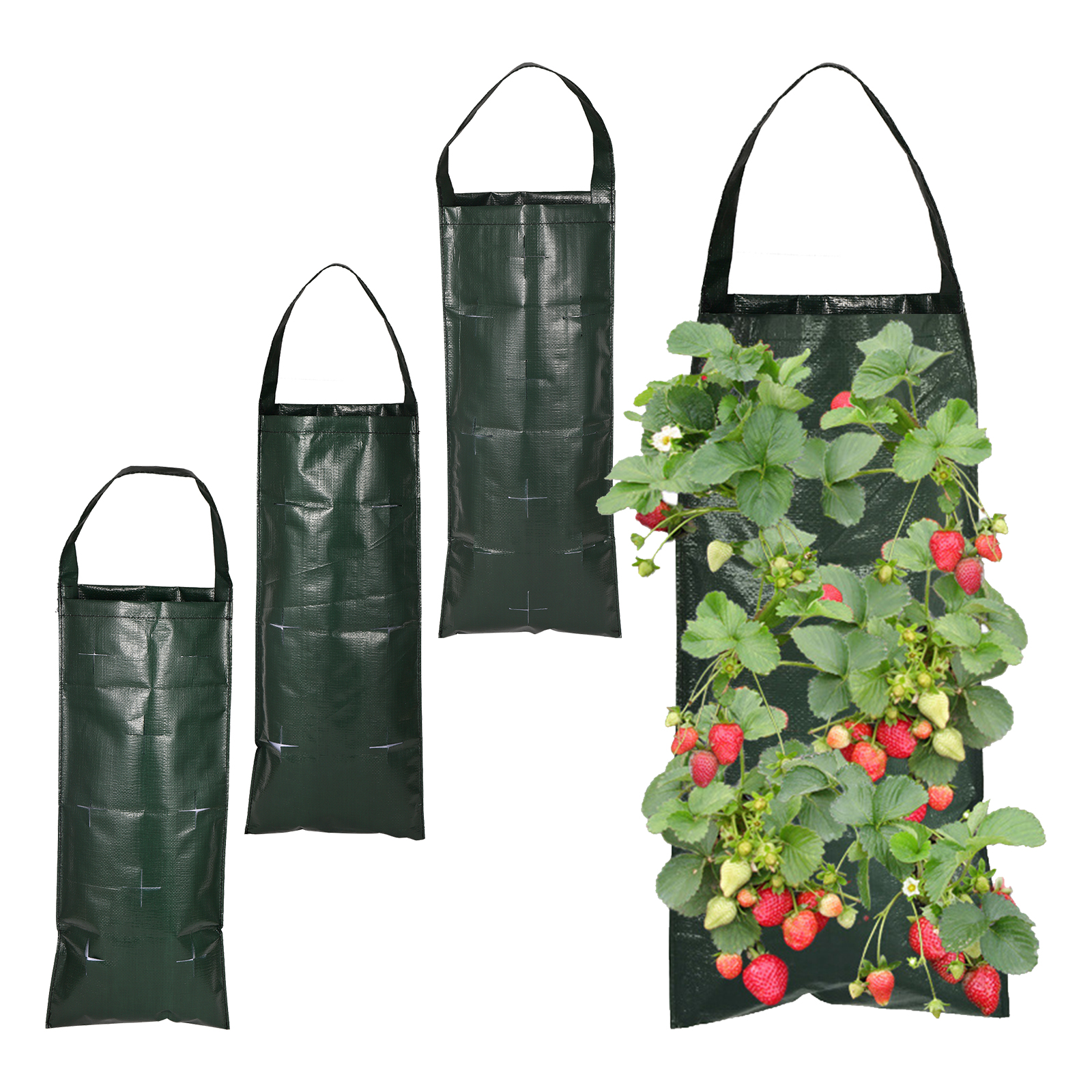 Agriculture Vertical Farming - 6/8/10 Holes Hanging Strawberry Planting Bag
