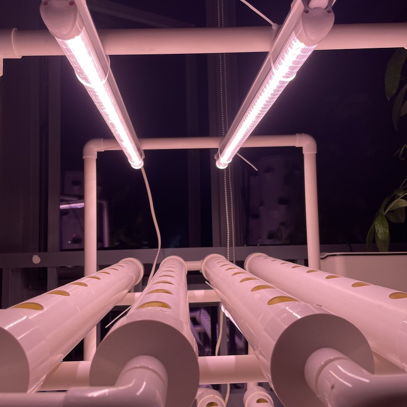 Agriculture Vertical Farming - Vertical Hydroponics Growing System with LED