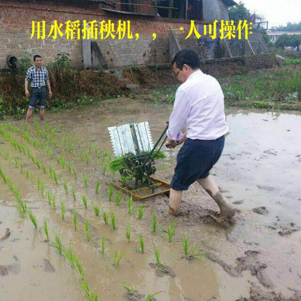 Rice transplanter Hand-cranked - Agriculture Farming Rice incelemesi ve fiyatı
