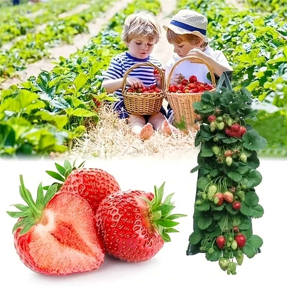 1PC Holes Hanging Strawberry P - Agriculture Vertical Farming incelemesi ve fiyatı