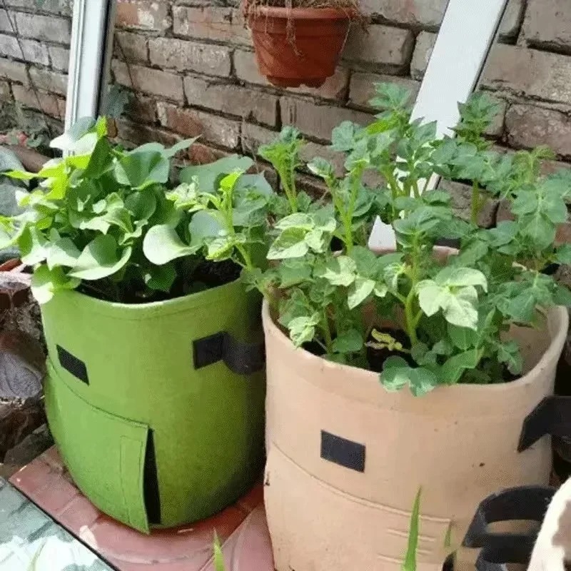3Styles Felt plant grow bags n - Agriculture Vertical Farming incelemesi ve fiyatı