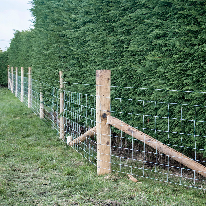 Customized Iron Wire Mesh Fixe - Farm Agriculture incelemesi ve fiyatı