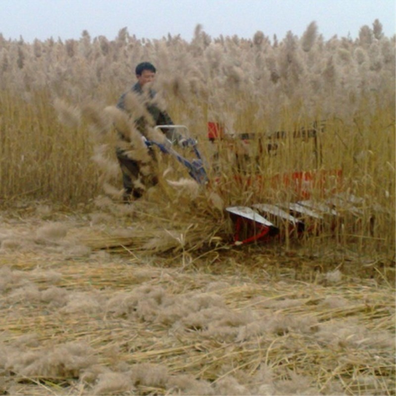 Farm Equipment Small Handy Agr - Agriculture Farming Rice incelemesi ve fiyatı