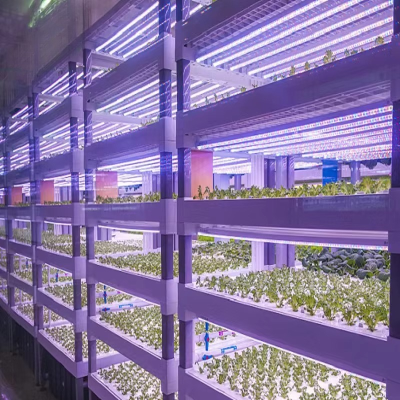 Custom Agricultural Greenhouse - Agriculture Vertical Farming incelemesi ve fiyatı
