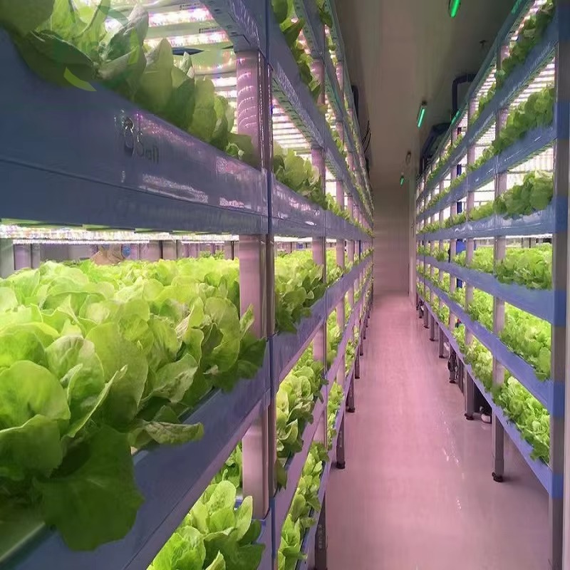 Custom Agricultural Greenhouse - Agriculture Vertical Farming incelemesi ve fiyatı