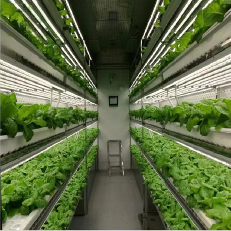Custom Agricultural Greenhouse - Agriculture Vertical Farming incelemesi ve fiyatı