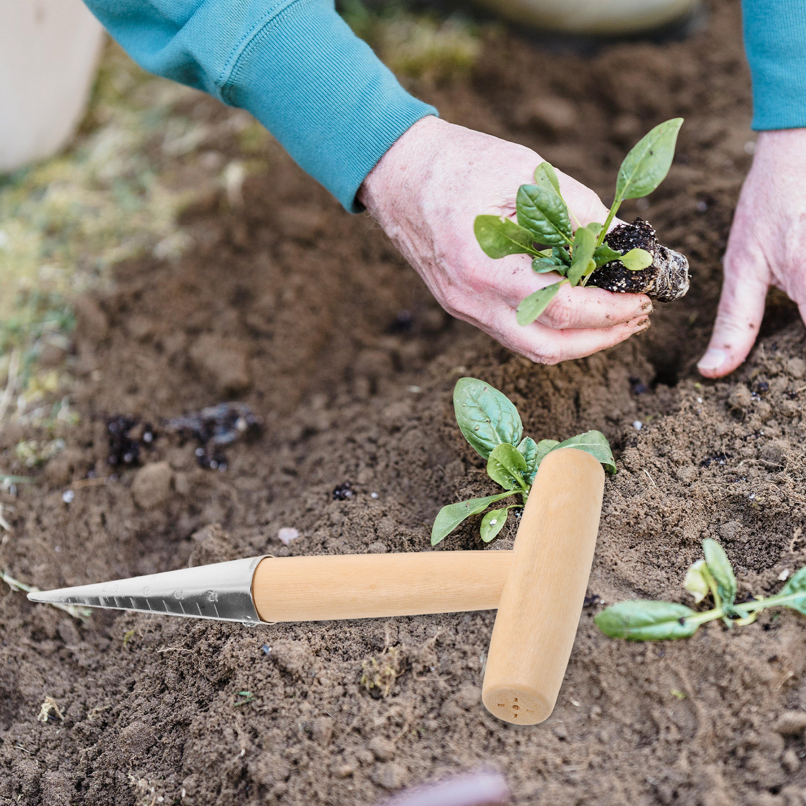 T-Handle Planting Hole Puncher - Vegetable Transplanter incelemesi ve fiyatı