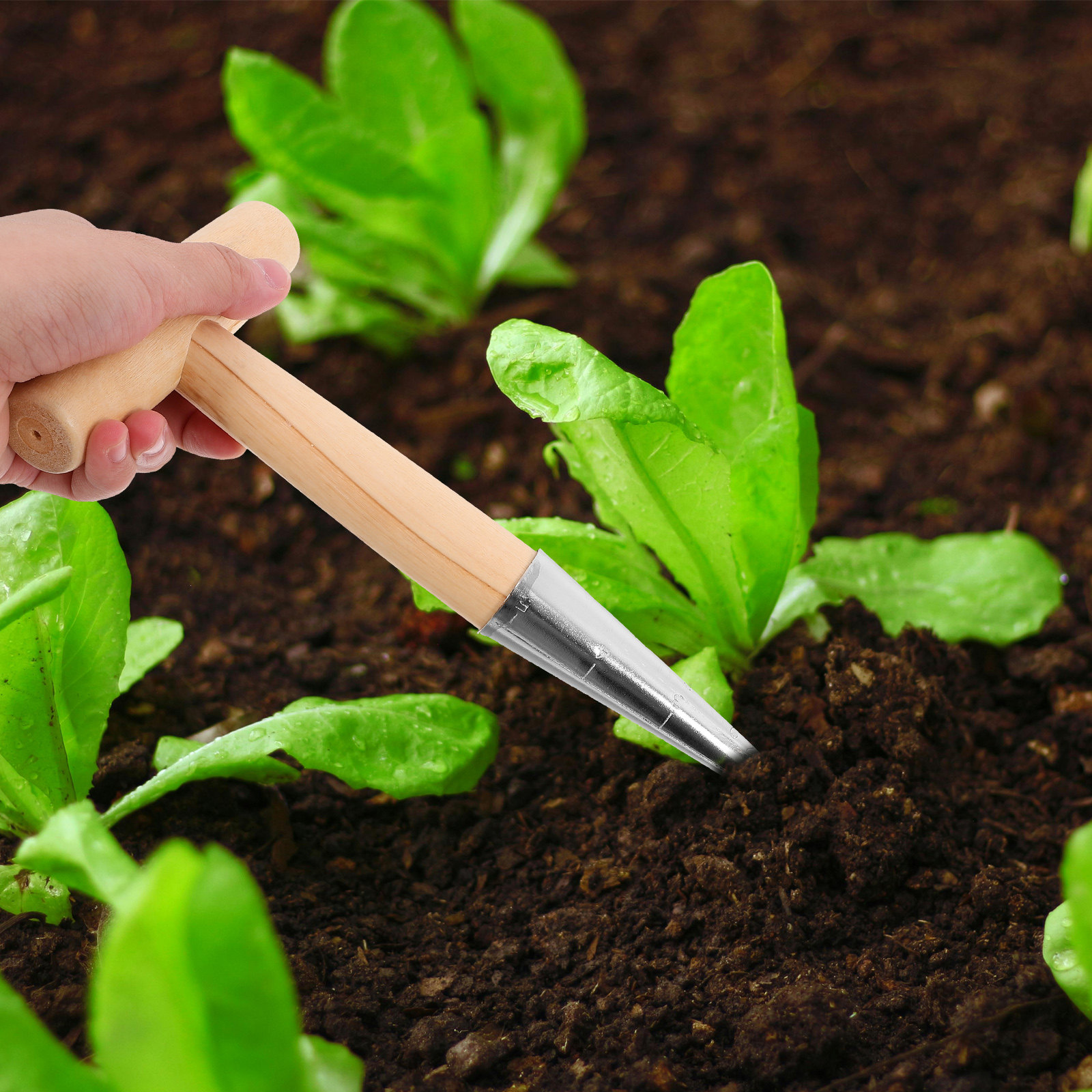 T-Handle Planting Hole Puncher - Vegetable Transplanter incelemesi ve fiyatı