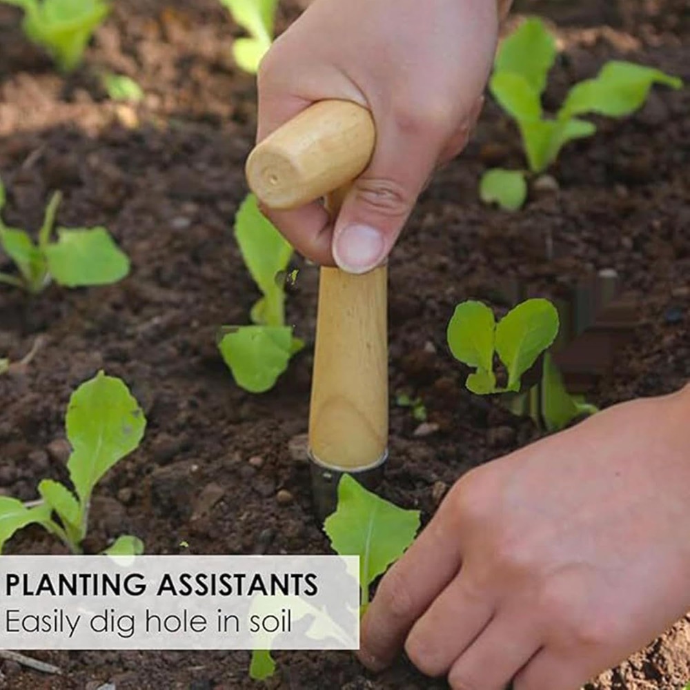 Vegetable Garden Seedling Tran - Vegetable Transplanter incelemesi ve fiyatı