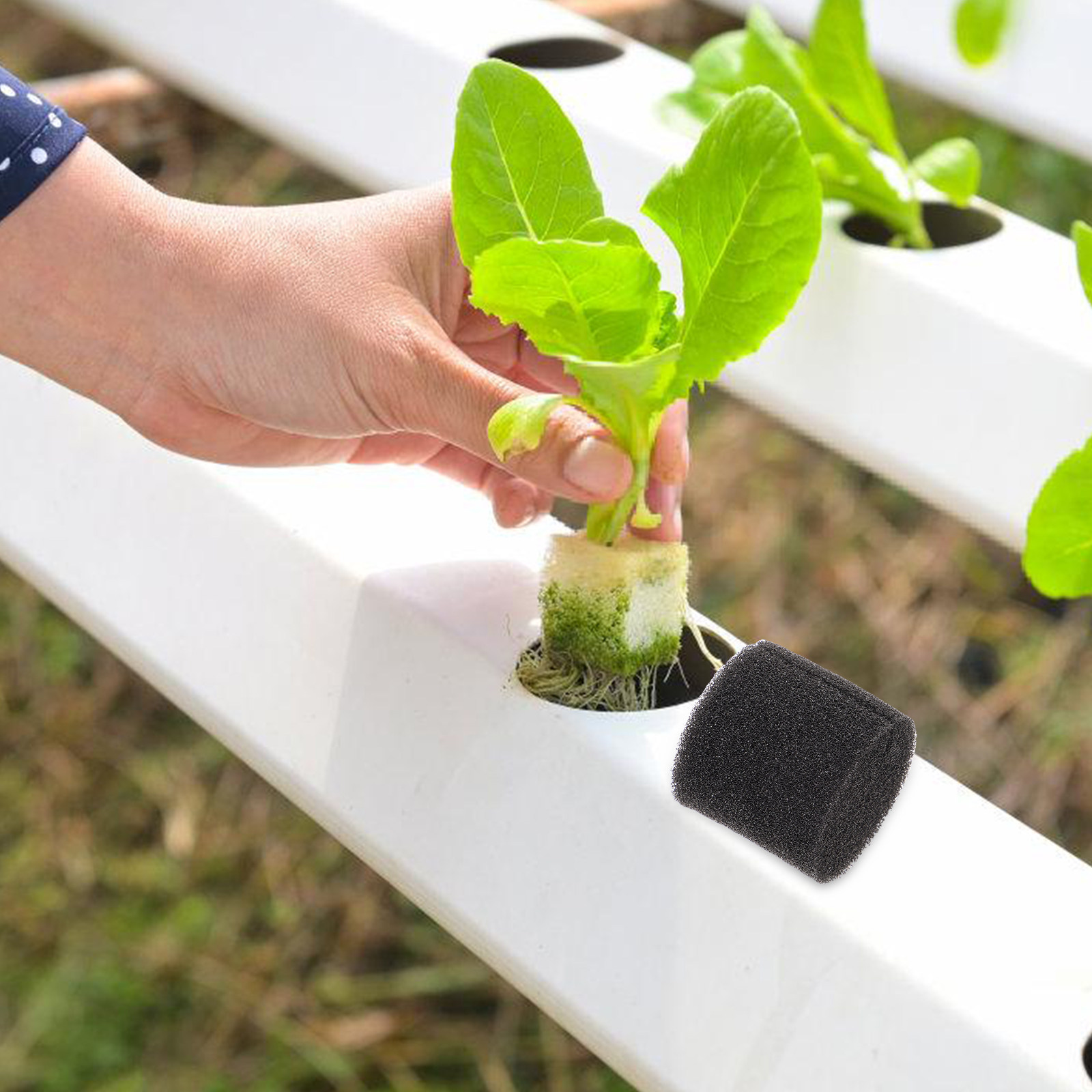100Pcs Hydroponic Sponge Growi - Vegetable Transplanter incelemesi ve fiyatı