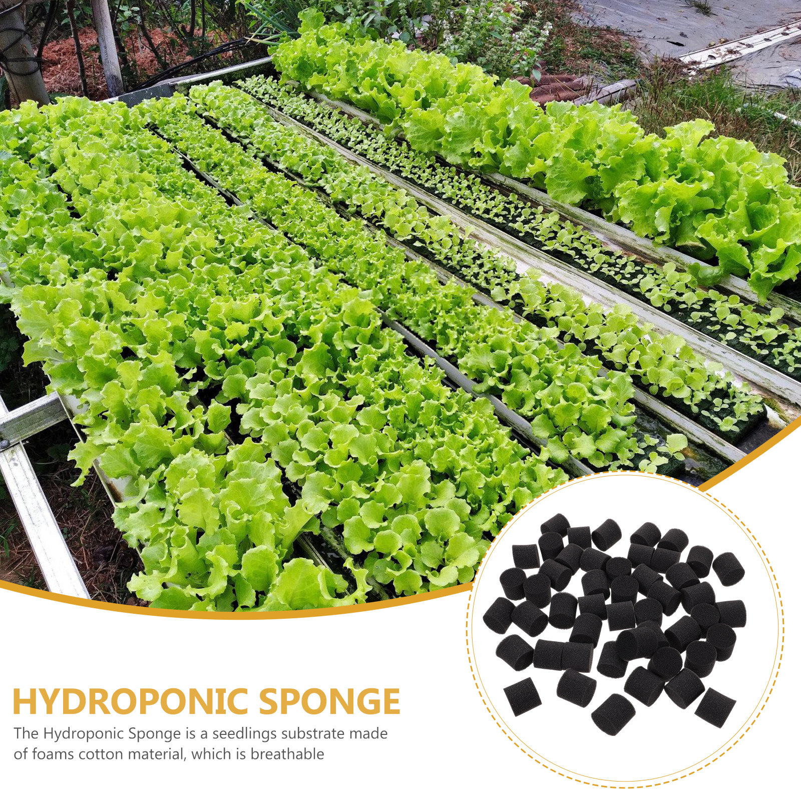 100Pcs Hydroponic Sponge Growi - Vegetable Transplanter incelemesi ve fiyatı