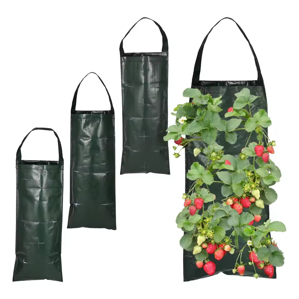 6/8/10 Holes Hanging Strawberr - Agriculture Vertical Farming incelemesi ve fiyatı