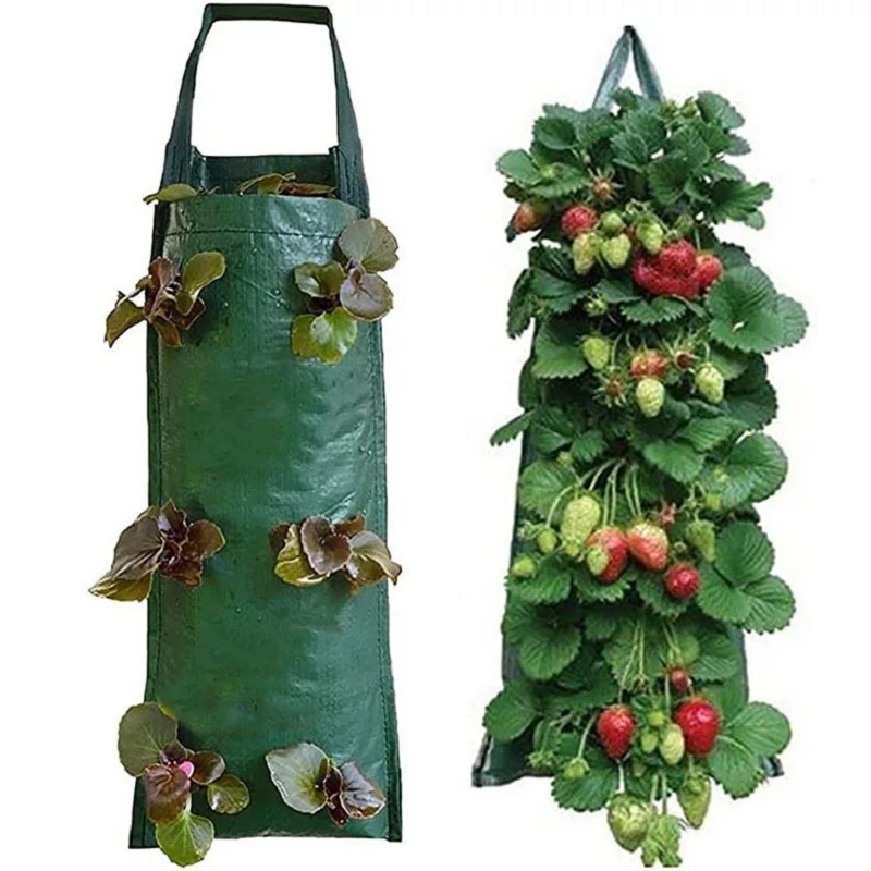 6/8/10 Holes Hanging Strawberr - Agriculture Vertical Farming incelemesi ve fiyatı
