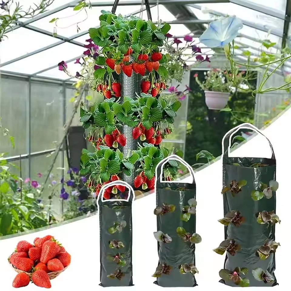 6/8/10 Holes Hanging Strawberr - Agriculture Vertical Farming incelemesi ve fiyatı
