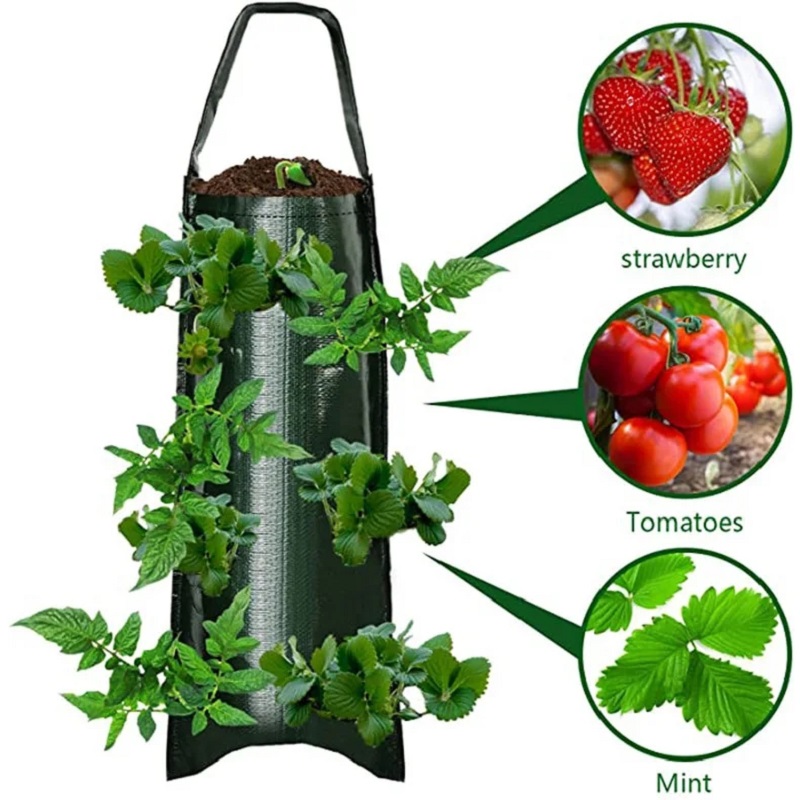 6/8/10 Holes Hanging Strawberr - Agriculture Vertical Farming incelemesi ve fiyatı