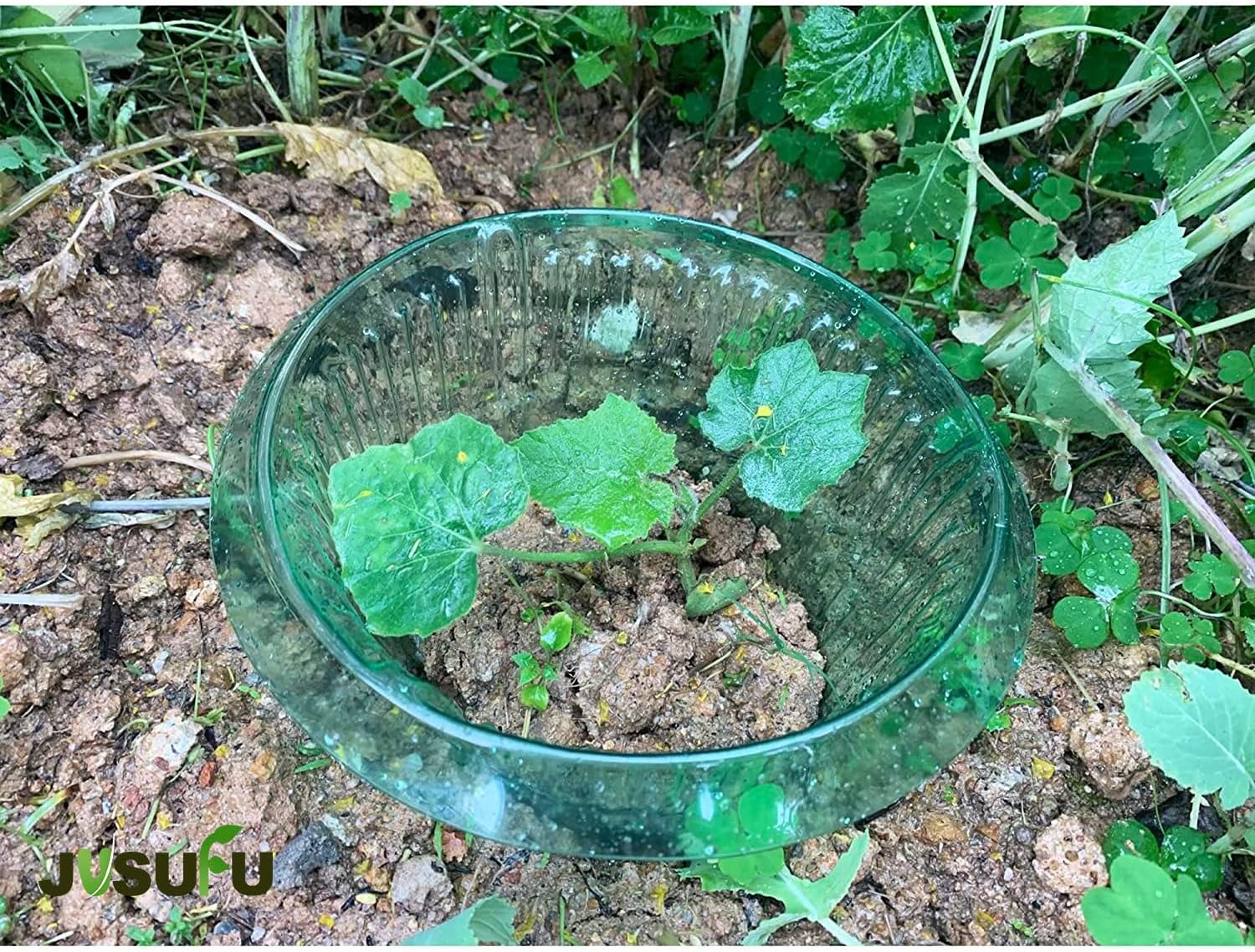 1/30pcs Plants Slug Protection - Vegetable Transplanter incelemesi ve fiyatı
