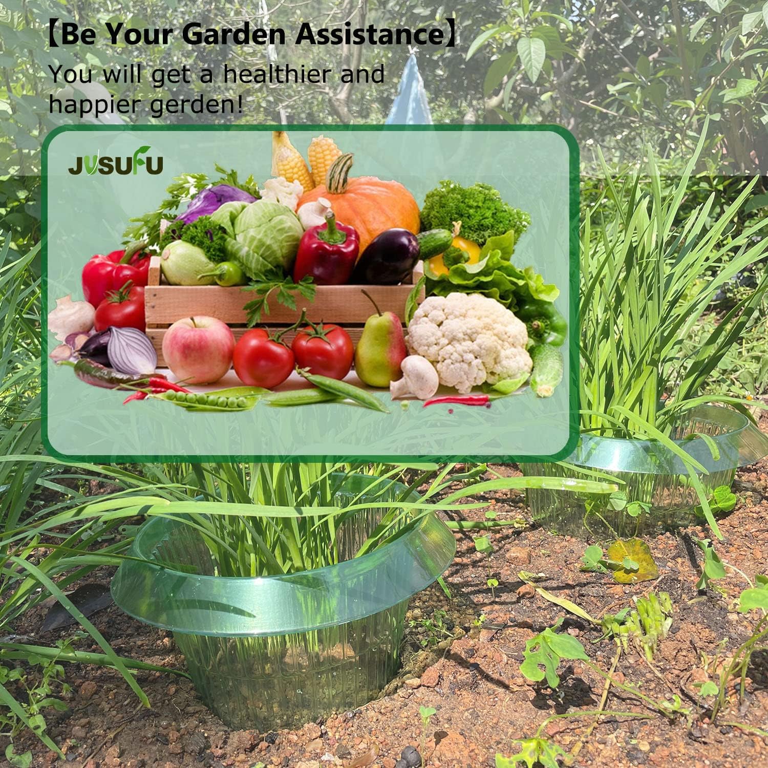 1/30pcs Plants Slug Protection - Vegetable Transplanter incelemesi ve fiyatı