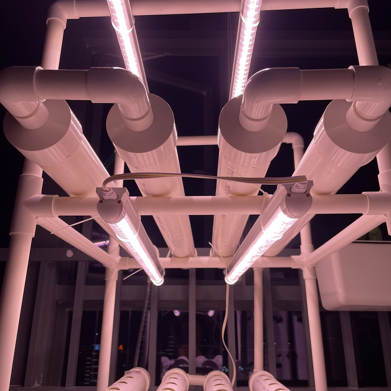 Vertical Hydroponics Growing S - Agriculture Vertical Farming incelemesi ve fiyatı