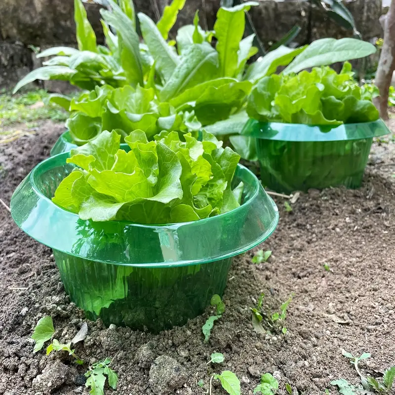 Plants Slug Protection Rings V - Vegetable Transplanter incelemesi ve fiyatı