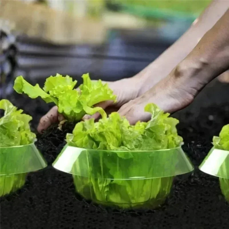 Plants Slug Protection Rings V - Vegetable Transplanter incelemesi ve fiyatı
