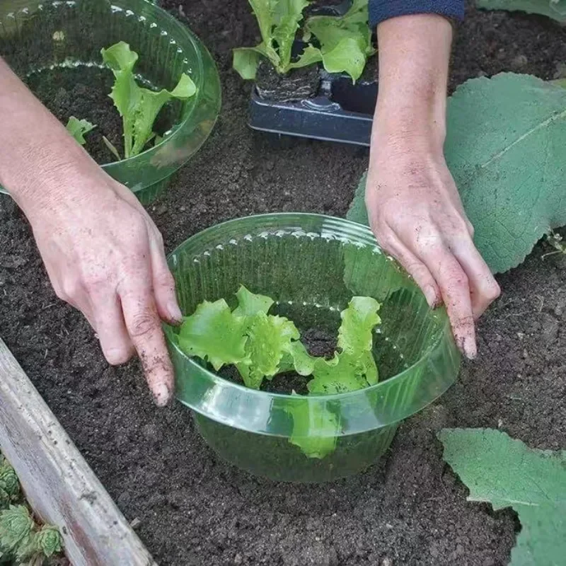 Plants Slug Protection Rings V - Vegetable Transplanter incelemesi ve fiyatı