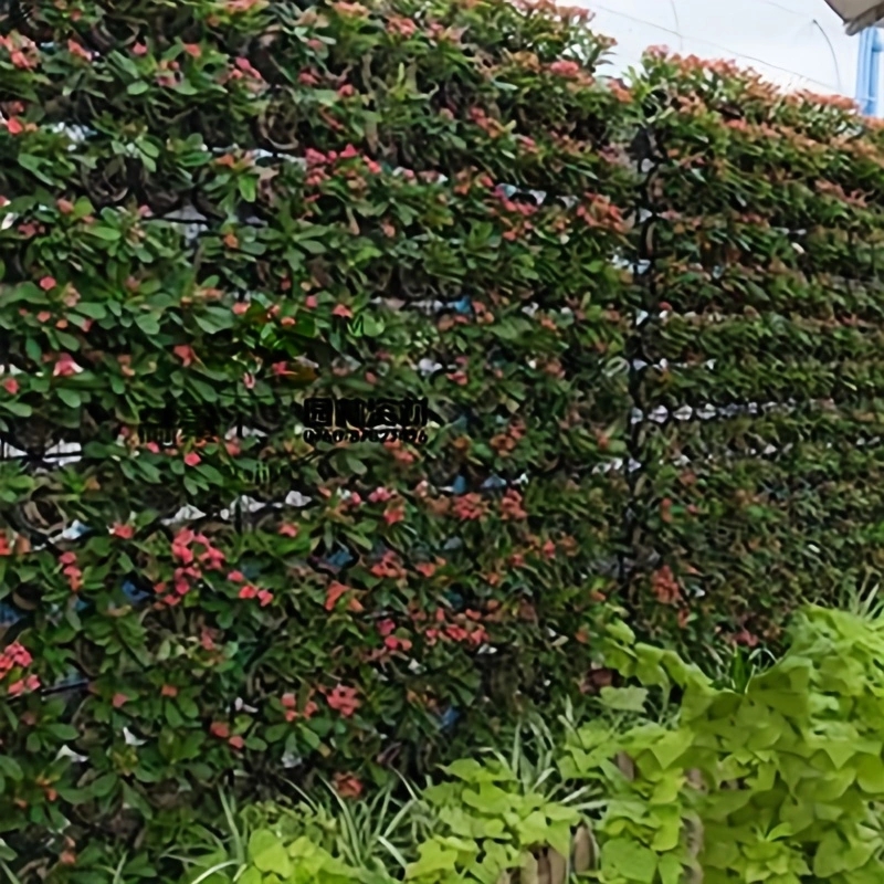 Multi-pocket Planting Bag Felt - Agriculture Vertical Farming incelemesi ve fiyatı